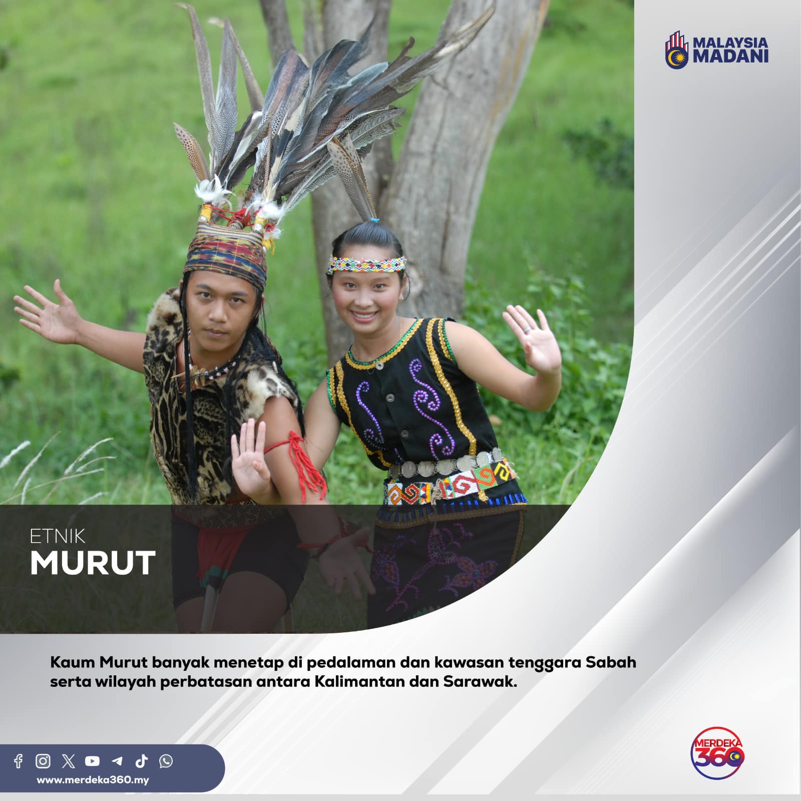 Murut